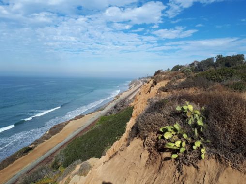 Torrey Pines